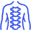 Spinal Cord Injuries